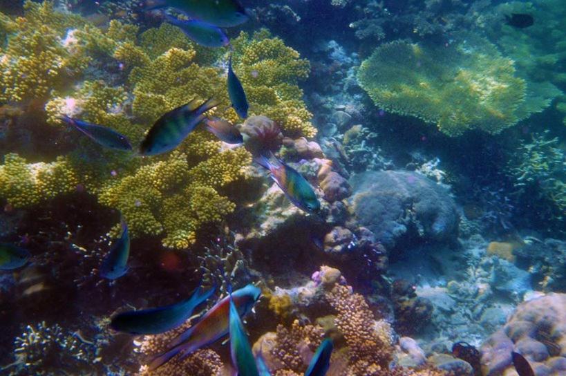 Balaibinda Lodge Coron Zewnętrze zdjęcie