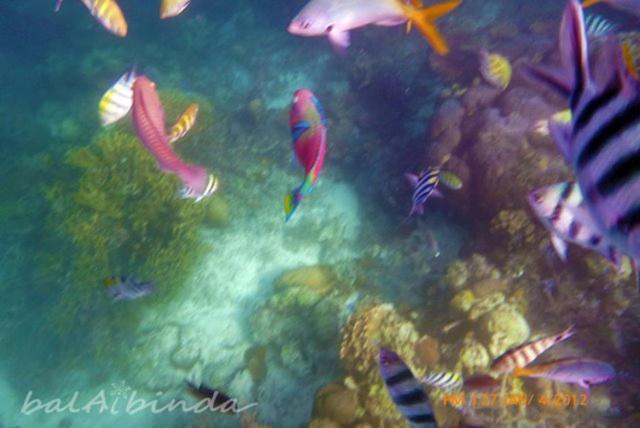 Balaibinda Lodge Coron Zewnętrze zdjęcie