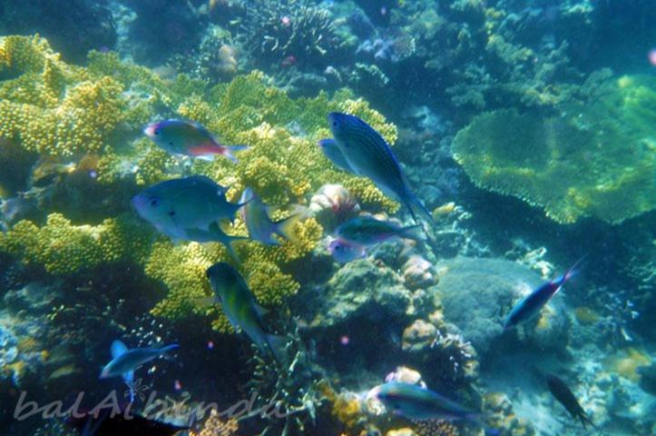 Balaibinda Lodge Coron Zewnętrze zdjęcie